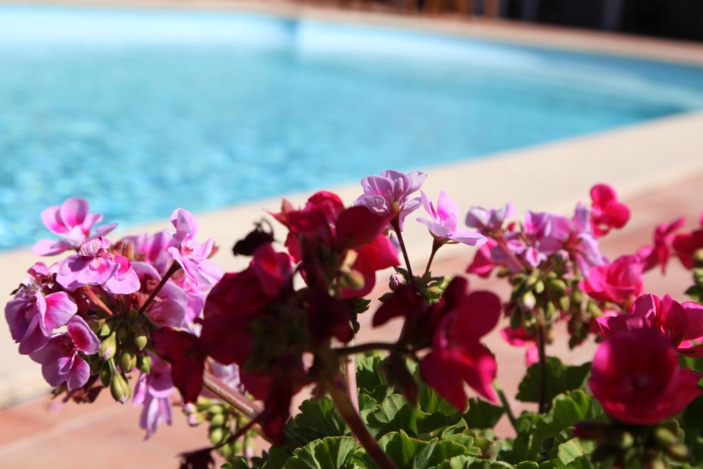 Saint-Germain-dʼEsteuil Oeno-Lodge מראה חיצוני תמונה